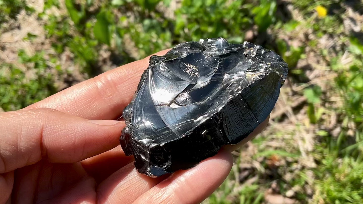 ソープストーン&シュンガイト　シリンダー Amazon.co.jp: wave the stone(ウエーヴ ザ ストーン) エリート